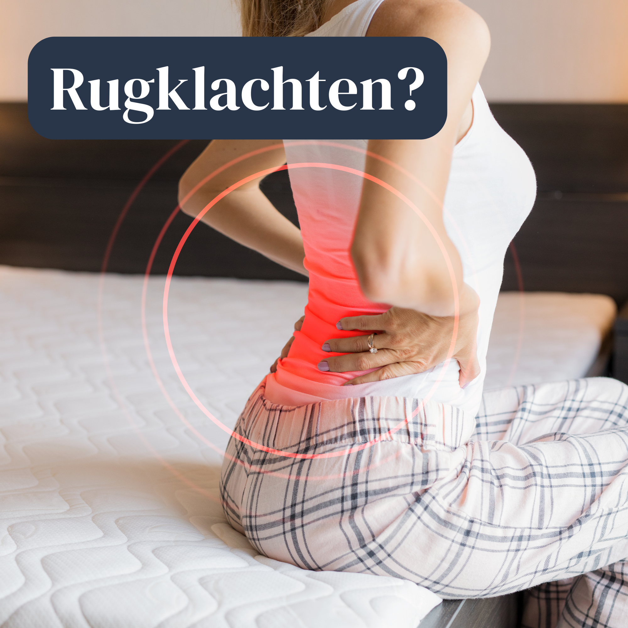 Collectie afbeelding 2